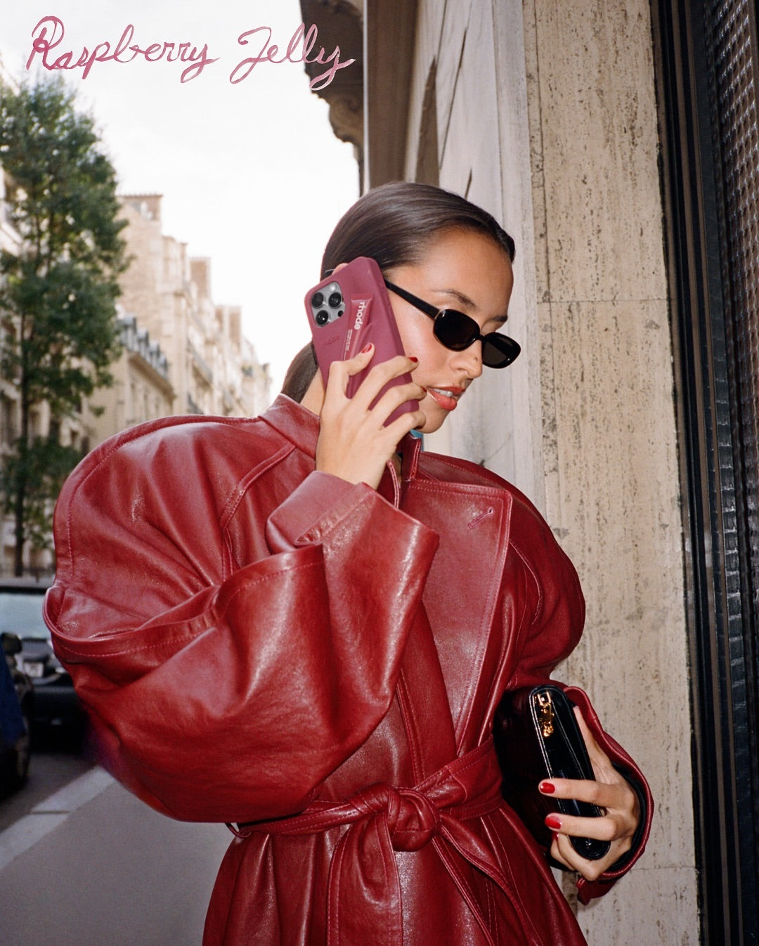 Case Raspberry Jelly (Incluye Lip tint)