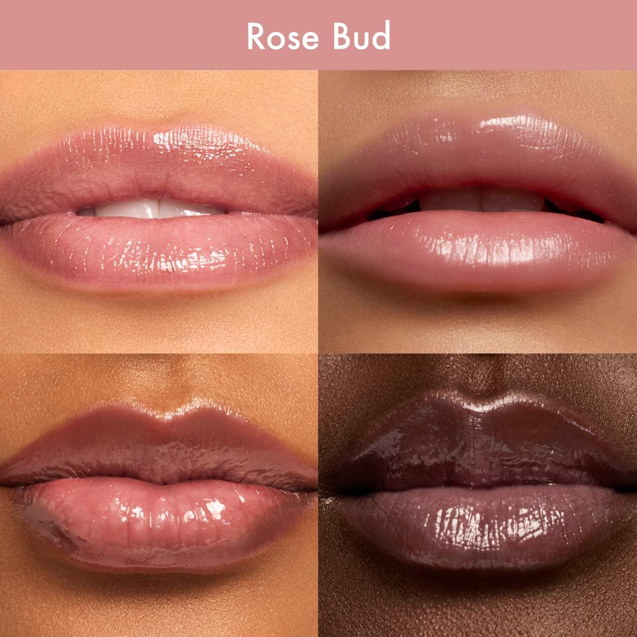Dream Lip Oil Rose Bud